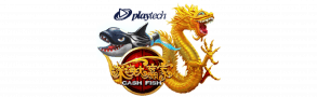 cash fish casinobk8thai