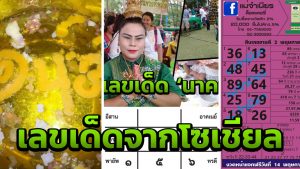 8 เรื่องต้องรู้ เกี่ยวกับ เลขเด็ดไทยรัฐ บนเว็บไซต์หวยออนไลน์ BK8 3 เลขเด็ดมาจากไหน
