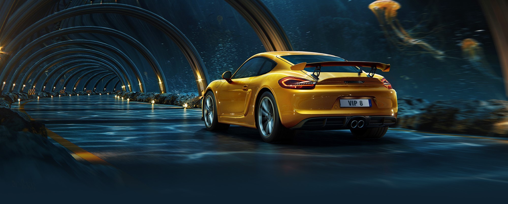 top banner